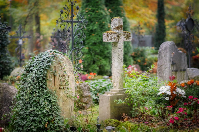 funeraire-GRASSE-min_cemetery-4653166